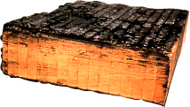 炭化した木材